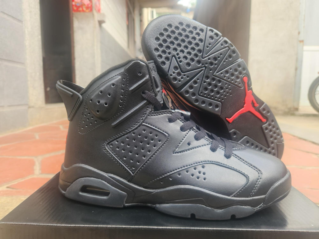 Air Jordan 6 Retro New Colorway | Palette Shift