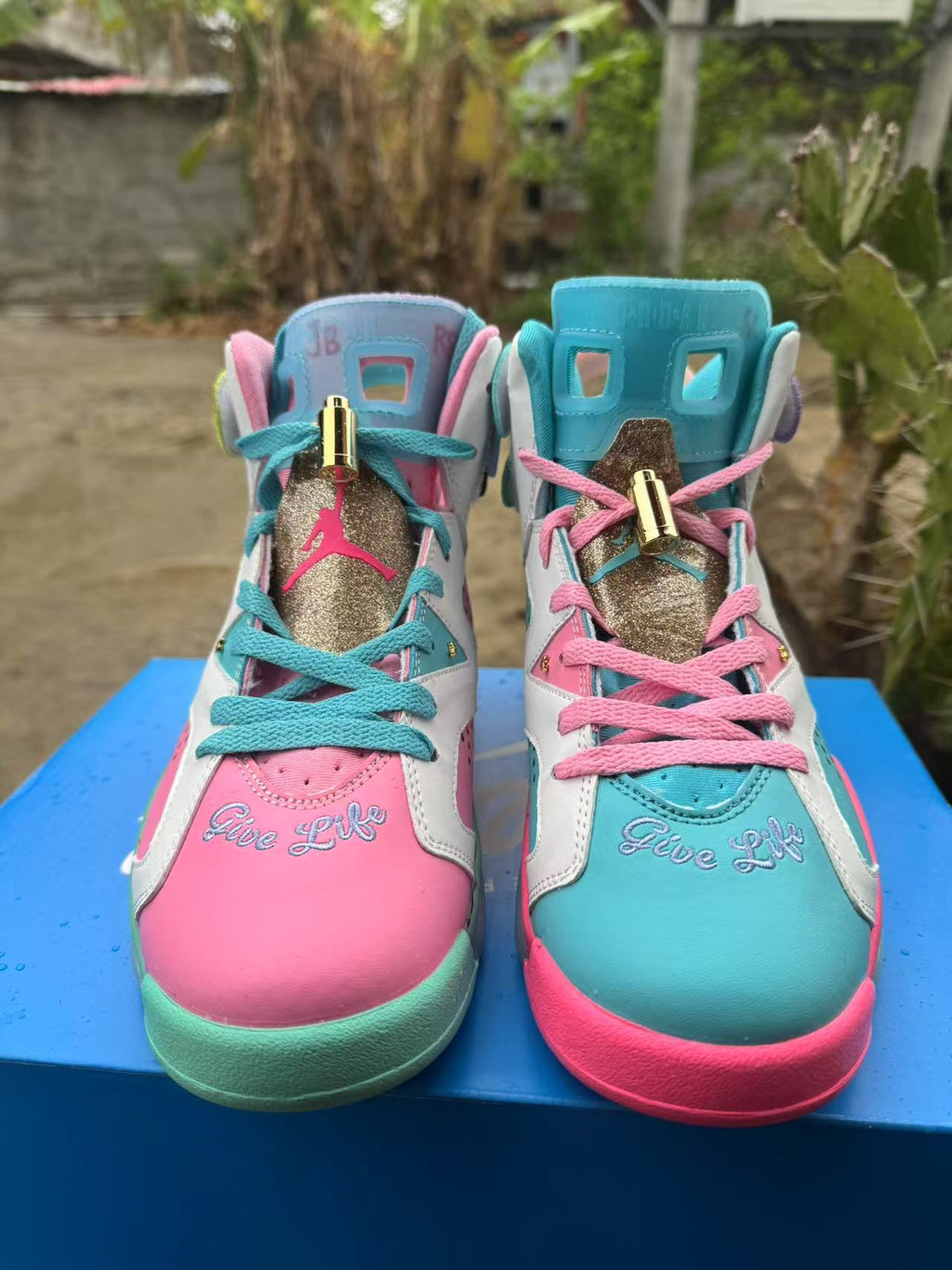 Air Jordan 6 Retro Blue-Pink | Chromatic Dawn