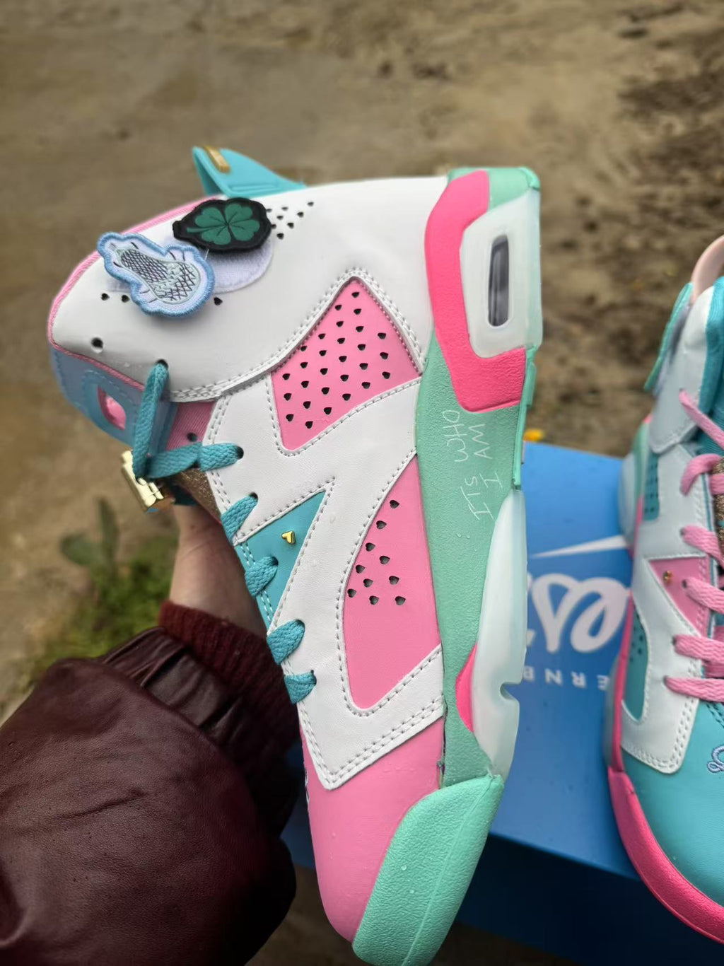 Air Jordan 6 Retro Blue-Pink | Chromatic Dawn