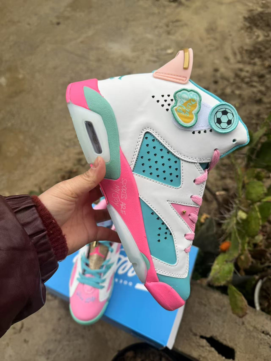 Air Jordan 6 Retro Blue-Pink | Chromatic Dawn