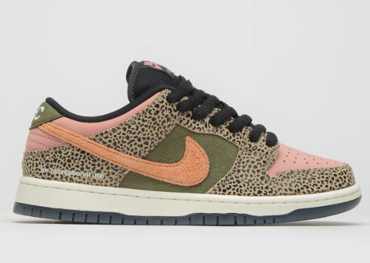 Nike SB x Arts-Rec Dunk Low Pro | The Color Study